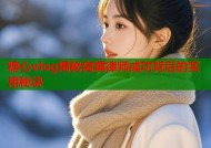 糖心vlog揭秘离婚律师成功背后的实用秘诀