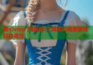 糖心vlog下载站长工具助力视频管理轻松高效