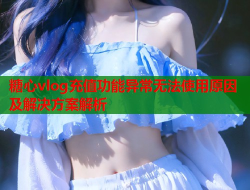 糖心vlog充值功能异常无法使用原因及解决方案解析  第1张